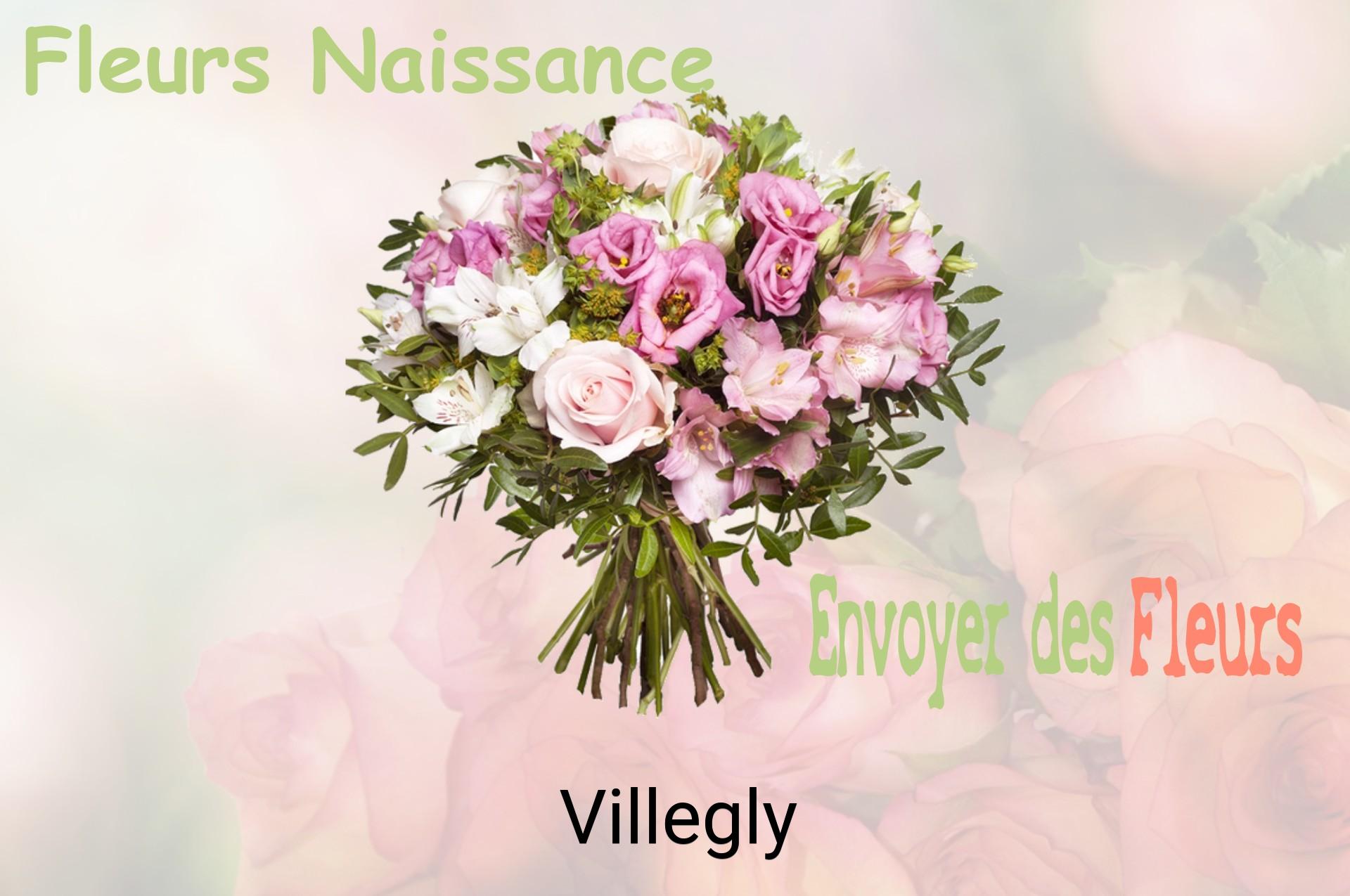 Bouquet de fleurs de naissance livré à Villegly
